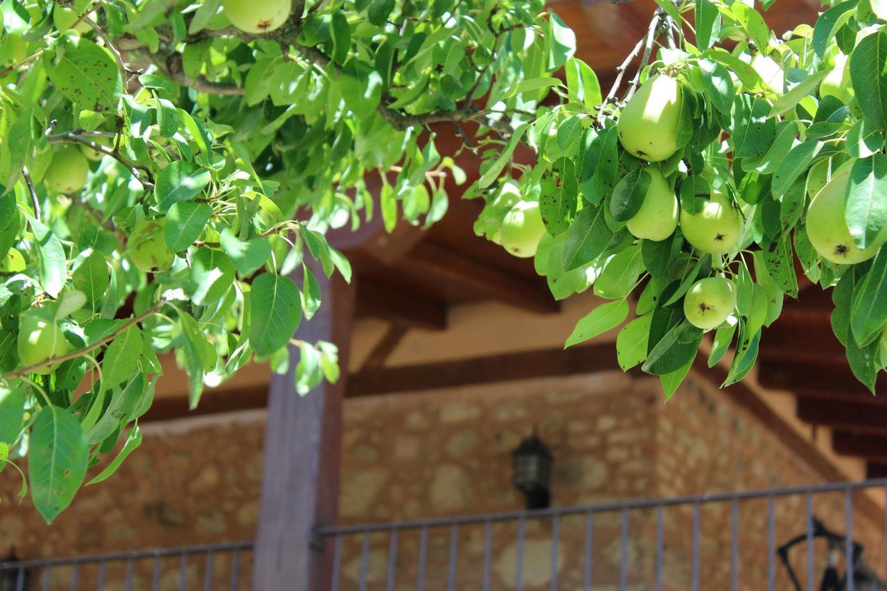 Complejo Rural La Coronilla Guest House Jarandilla de la Vera Exterior photo